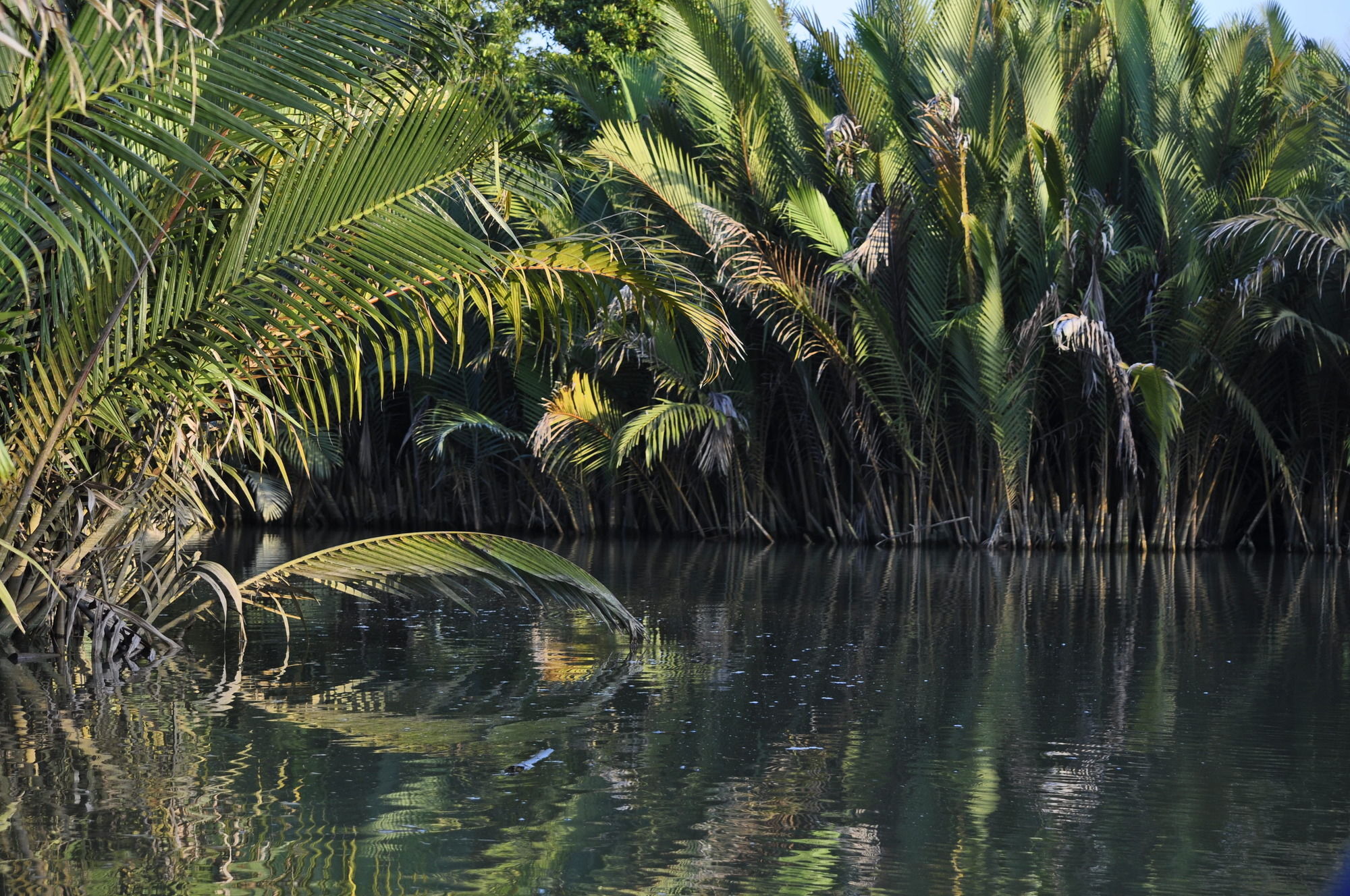 Samboja Lodge Balikpapan  Exteriér fotografie