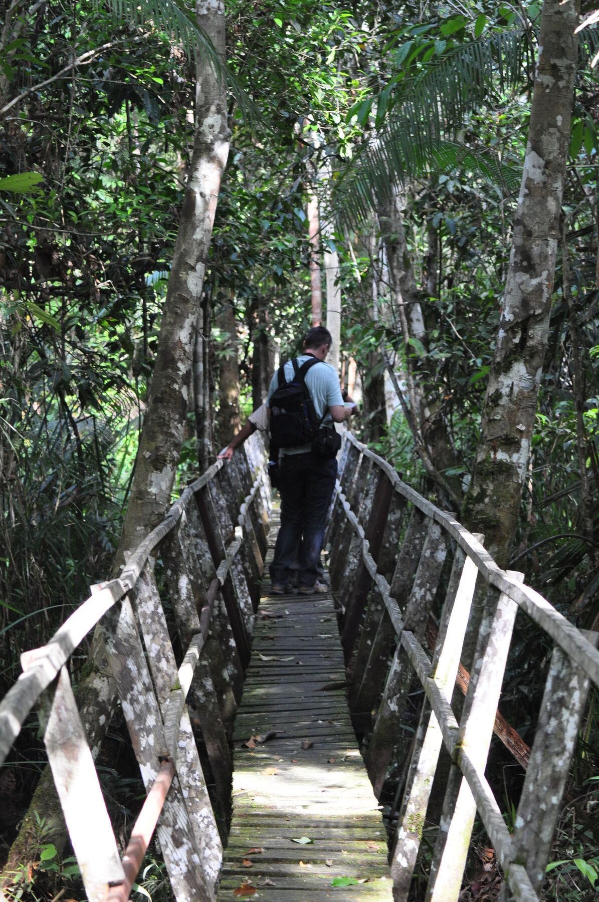 Samboja Lodge Balikpapan  Exteriér fotografie