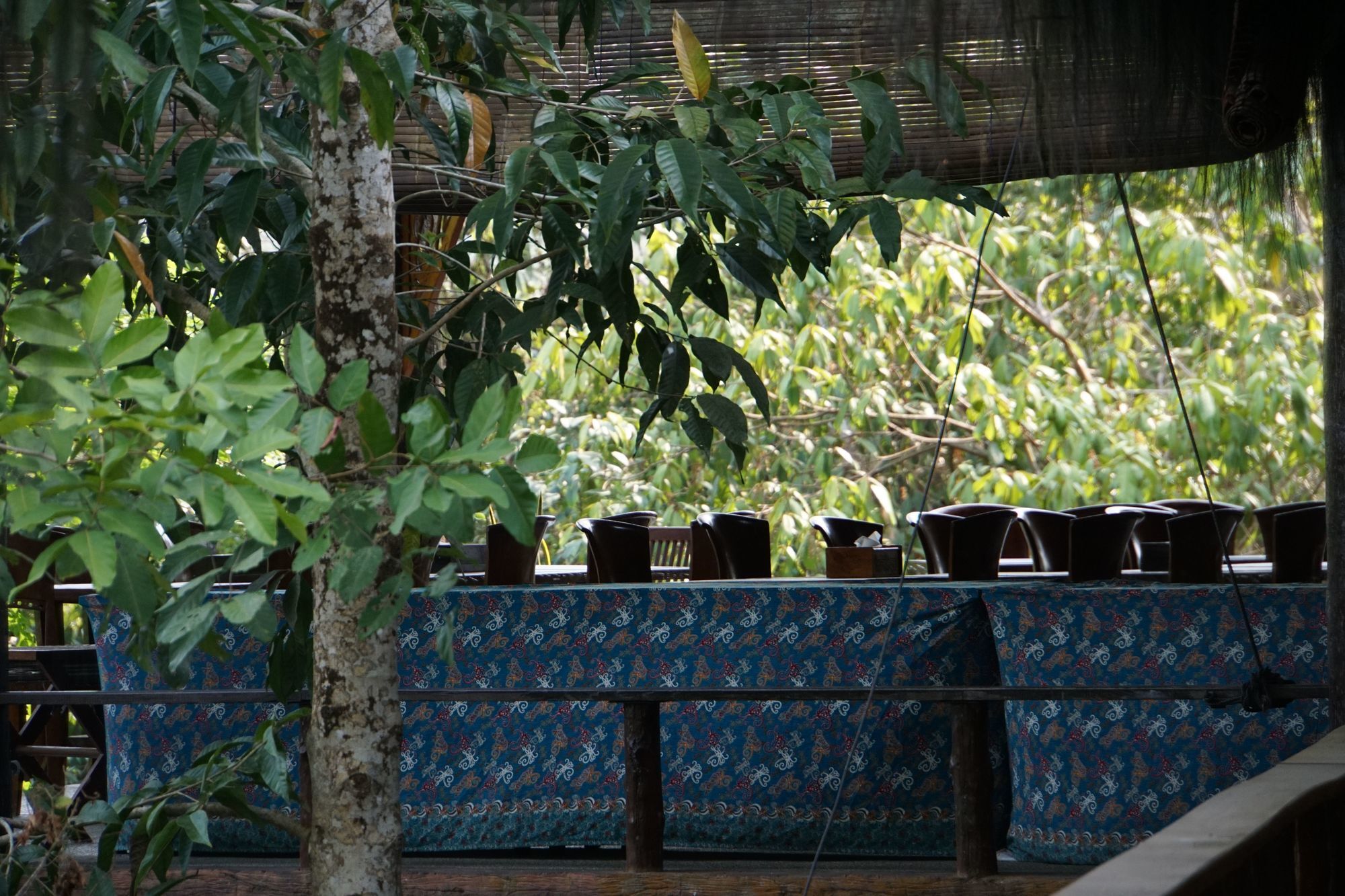 Samboja Lodge Balikpapan  Exteriér fotografie