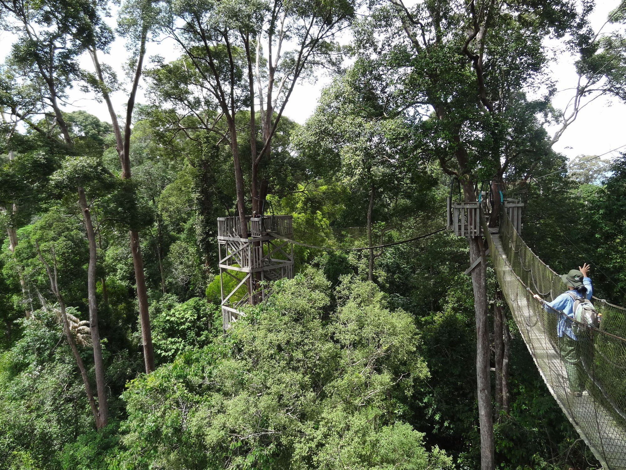 Samboja Lodge Balikpapan  Exteriér fotografie