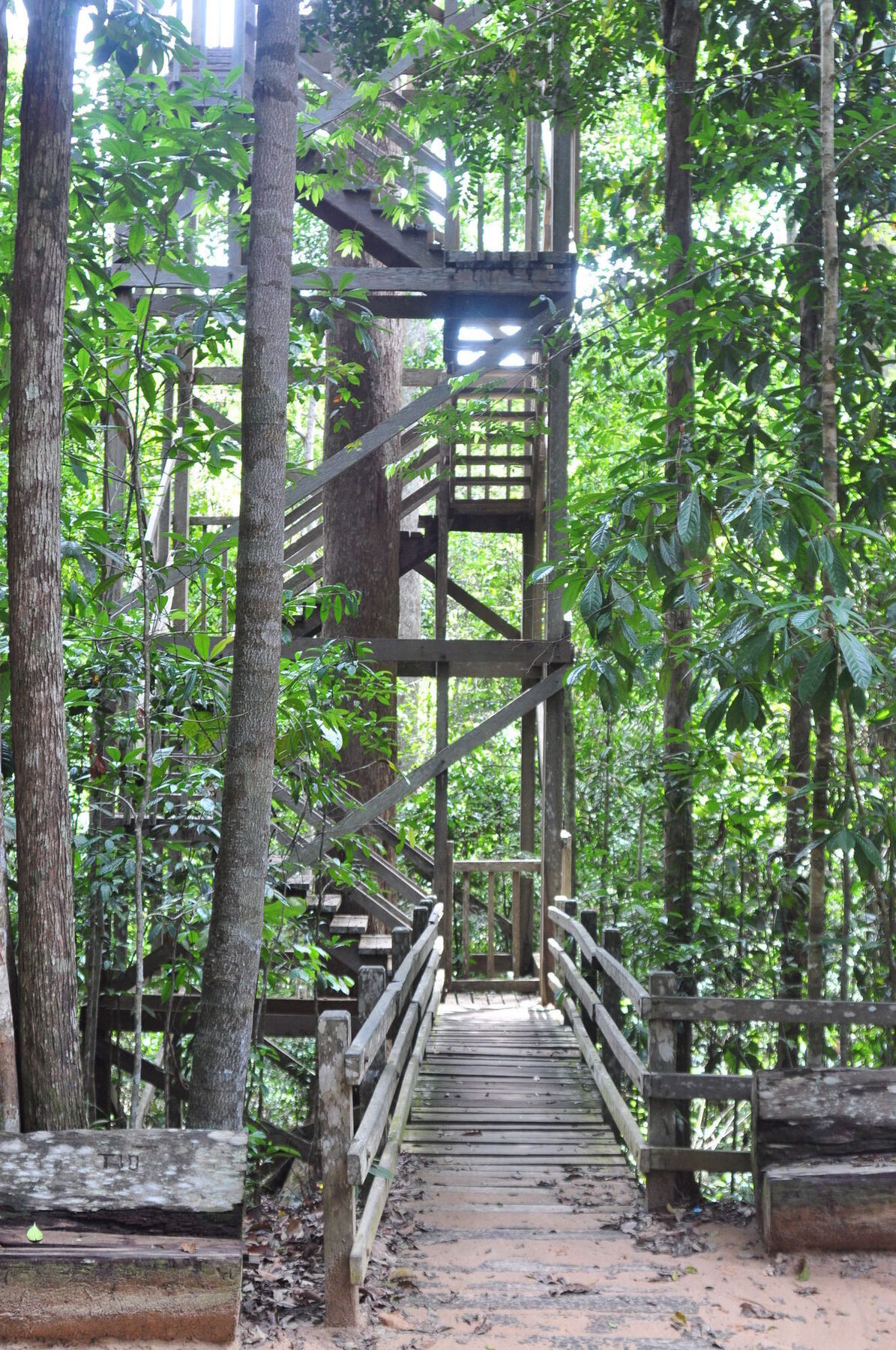 Samboja Lodge Balikpapan  Exteriér fotografie